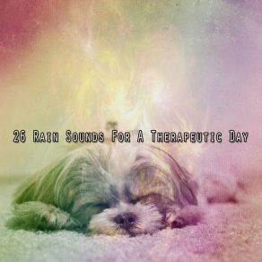 26 Rain Sounds For A Therapeutic Day album cover