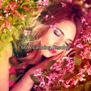 66 A Calming Resolve album cover