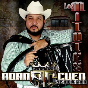 Los Mitotes (En Vivo) album cover