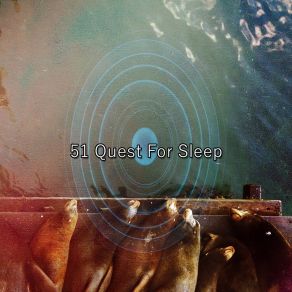 51 Quest For Sle album cover