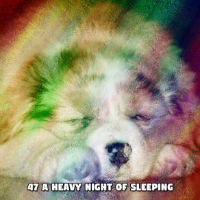 47 A Heavy Night Of Sleeping album cover
