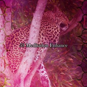 53 Meditation Enhance album cover