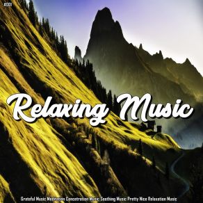 # 001 Relaxing Music Grateful Music Meditation Concetration Music Soothing Music Pretty Nice Relaxation Music album cover