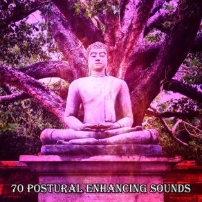 70 Postural Enhancing Sounds album cover