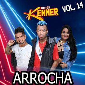 Arrocha Vol. 14 album cover