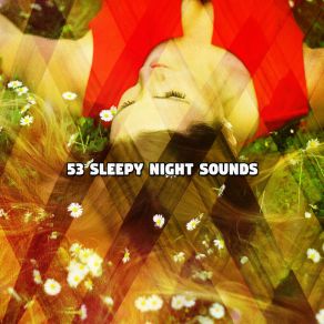 53 Sleepy Night Sounds album cover
