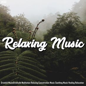 # 001 Relaxing Music Grateful Musicgratitude Meditation Relaxing Concetration Music Soothing Music Healing Relaxation album cover