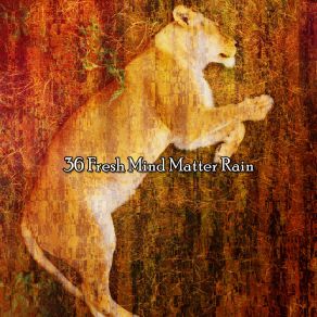 36 Fresh Mind Matter Rain album cover