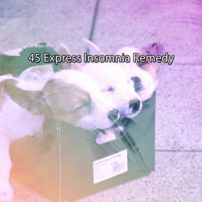 45 Express Insomnia Remedy album cover