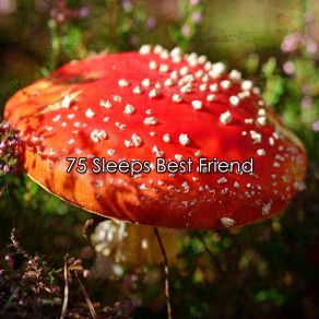 75 Sleeps Best Friend album cover