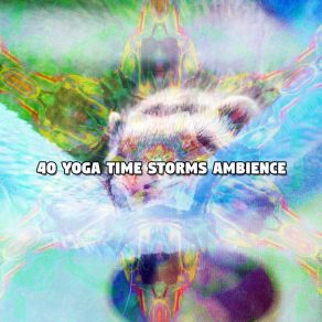 40 Yoga Time Storms Ambience album cover