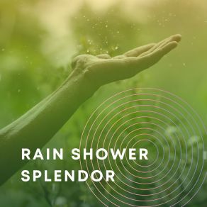Rain Shower Splendor album cover