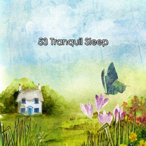 53 Tranquil Sle album cover