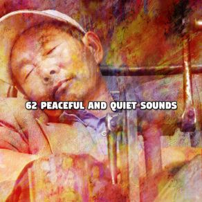 62 Peaceful And Quiet Sounds album cover