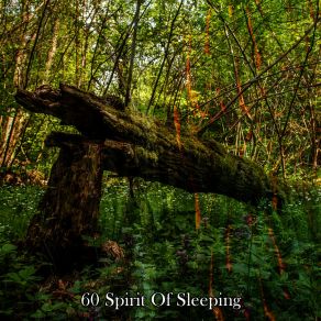 60 Spirit Of Sleeping album cover