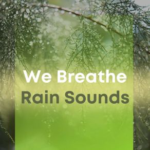 We Breathe Rain Sounds album cover