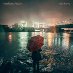 Not Sorry album cover