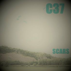 Scars album cover