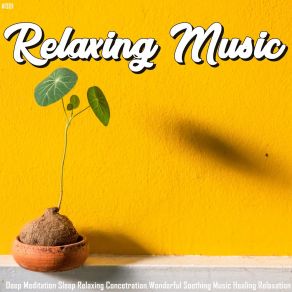 # 001 Relaxing Music Deep Meditation Sleep Relaxing Concetration Wonderful Soothing Music Healing Relaxation album cover