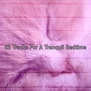 63 Tracks For A Tranquil Bedtime album cover