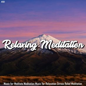 # 001 Relaxing Meditation Music For Meditate Meditation Music For Relaxation Stress Relief Meditation album cover