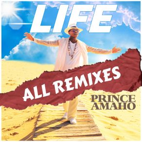 Life (All Remixes) album cover