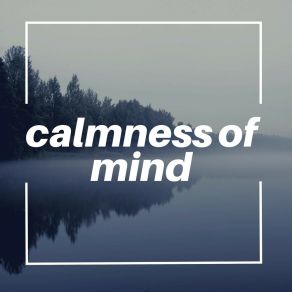 Calmness Of Mind album cover