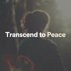 Transcend To Peace album cover