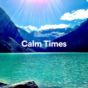 Calm Times album cover
