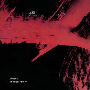 Holistic Agency (Original Mix) album cover