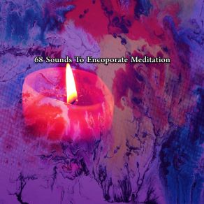 68 Sounds To Encoporate Meditation album cover