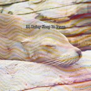 31 Rainy Sleep In Peace album cover