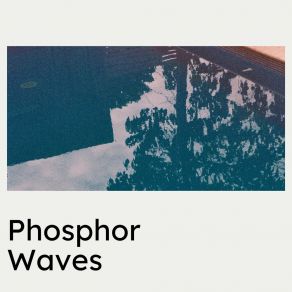 Phosphor Waves album cover