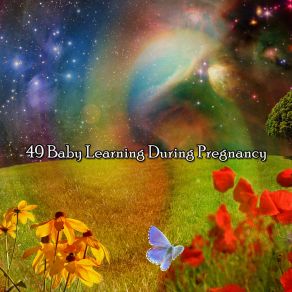 49 Baby Learning During Pregnancy album cover