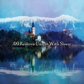69 Remove Unrest With Sle album cover