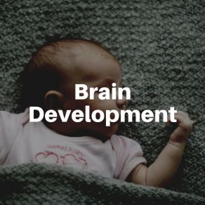 Brain Development album cover