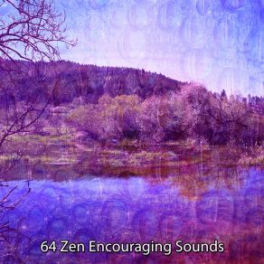 64 Zen Encouraging Sounds album cover
