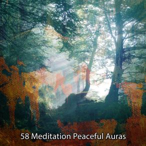 58 Meditation Peaceful Auras album cover