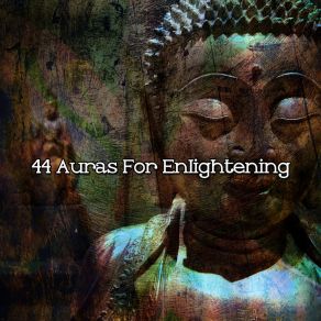 44 Auras For Enlightening album cover