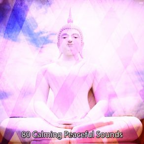 80 Calming Peaceful Sounds album cover