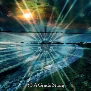 73 A Grade Study album cover