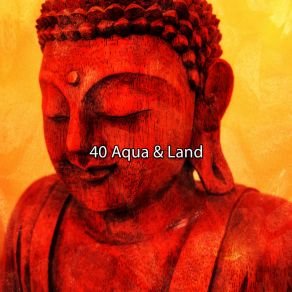 40 Aqua & Land album cover