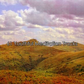 61 Youthful Meditation Tracks album cover