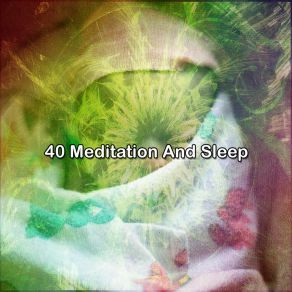 40 Meditation And Sle album cover