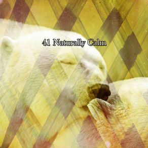 41 Naturally Calm album cover