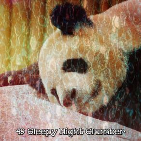 49 Sleepy Night Slumber album cover