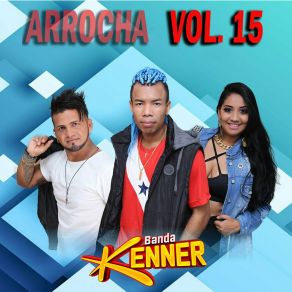 Vol. 15 album cover
