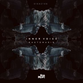 Inner Voice album cover
