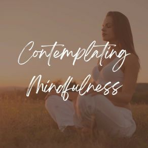 Contemplating Mindfulnees album cover