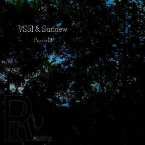 Puzzle album cover